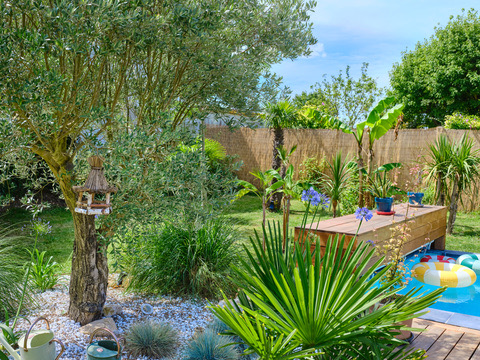 Jardin et olivier