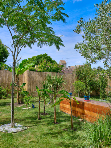Jardin tropical